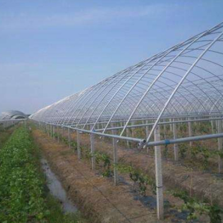 日光溫室種植大棚骨架 溫室大棚鋼管 溫室橢圓大棚鋼管