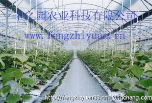 如何保護好溫室大棚的棚膜呢_農副產品_世界工廠網