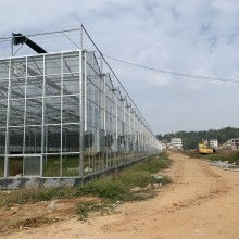 2019年溫室大棚價格與批發(fā)概覽