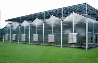 溫室大棚的種類及優(yōu)點