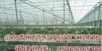 專業(yè)溫室大棚建設(shè)首選——青州市萬紅溫室公司