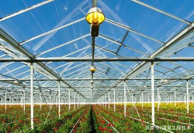 荷蘭先進玻璃溫室大棚 科技農業的典范與千萬造價的背后