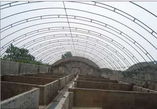 溫室大棚 現(xiàn)代農(nóng)業(yè)的智慧堡壘