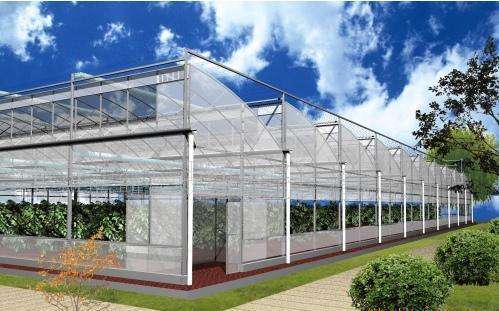 連棟溫室大棚風機水簾降溫通風設備簡析