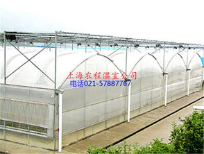 上海農程溫室工程制造公司 創新溫室大棚解決方案，助力現代農業發展