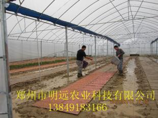 鄭州濮陽與開封許昌溫室大棚保溫被的應用與發展